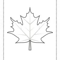 leaf printable coloring pages for kids