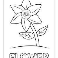 flower coloring drawing pages 2