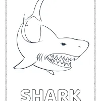 printable shark coloring pdf pages for kids