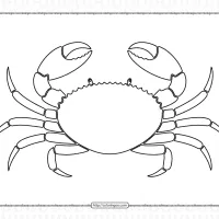 Printable Cute Crab Coloring Pages PDF 11 printable cute crab coloring pages pdf