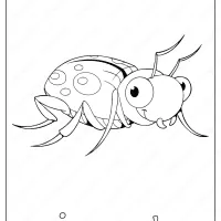 Printable Insect Coloring Page - Book PDF 11 printable insect coloring page book pdf
