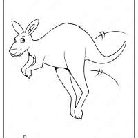 printable kangaroo coloring page book pdf