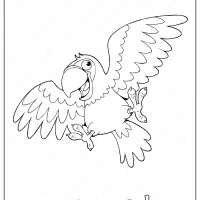 Printable Parrot Coloring Page - Book PDF 65 printable parrot coloring page book pdf