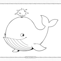 Printable Whale Coloring Page Book PDF 6 printable whale coloring page book pdf