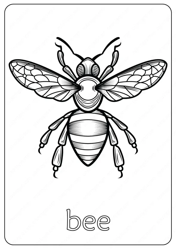 Animals Bee Coloring Pages Book