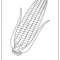 corn maize coloring pages