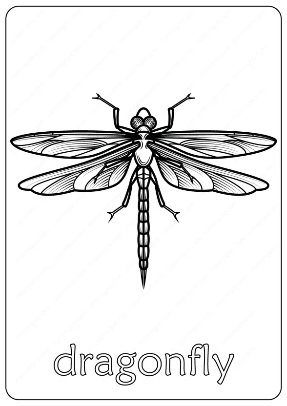 Animals Dragonfly Coloring Pages Book 1 dragonfly coloring pages