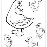 duck 2 coloring pages