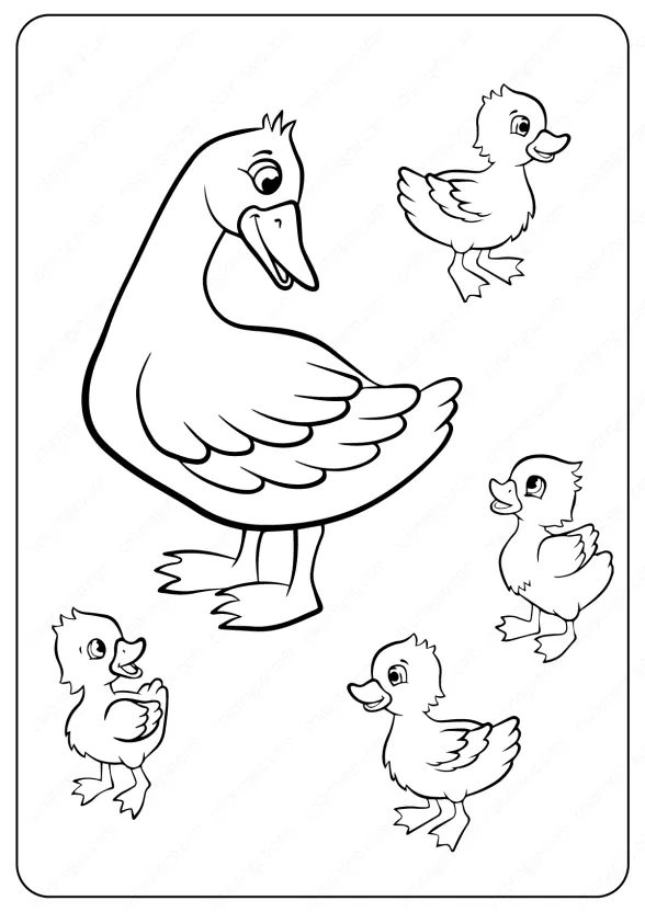 Duck Family Coloring Page for Kids 1 duck 2 coloring pages