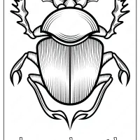 Animals Dung Beetle Coloring Pages Book 8 dung beetle coloring pages