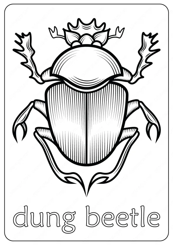 Animals Dung Beetle Coloring Pages Book 1 dung beetle coloring pages