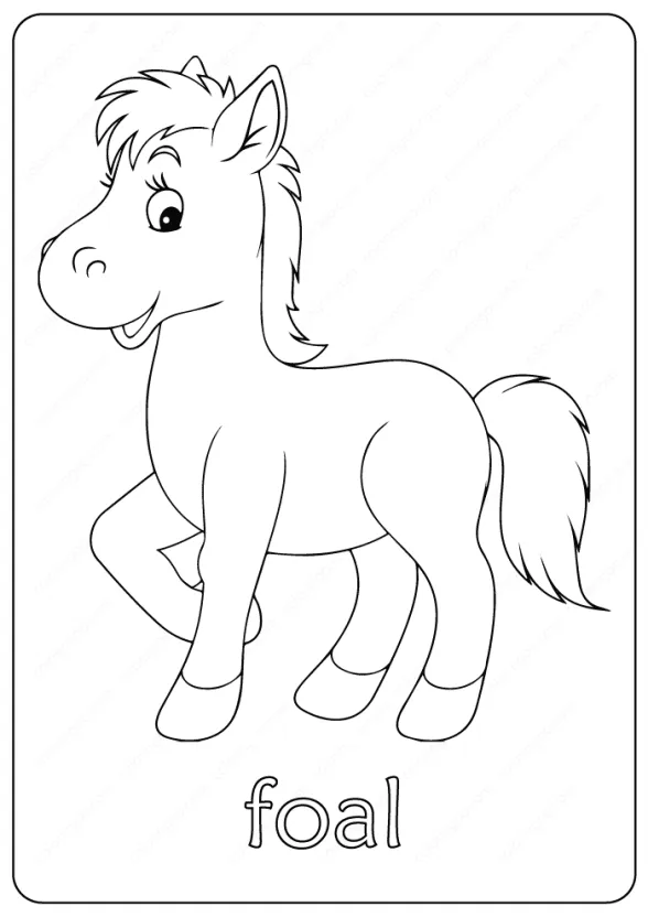 foal coloring pages