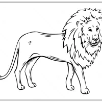 lion outline coloring page