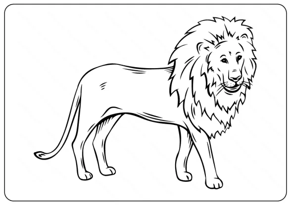 Free Printable Lion Outline Coloring Page 1 lion outline coloring page