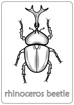 Animals Rhinoceros Beetle Coloring Pages Book