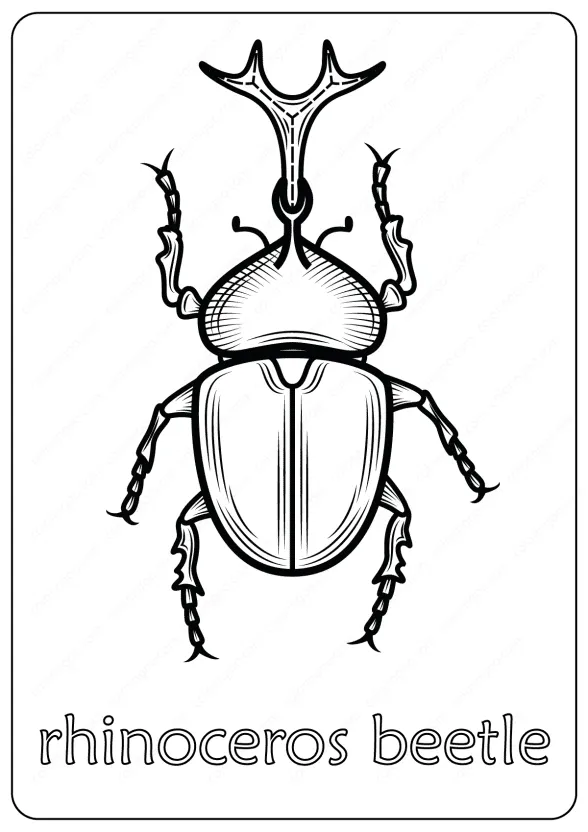 Animals Rhinoceros Beetle Coloring Pages Book 1 rhinoceros beetle coloring pages