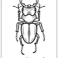 Animals Stag Beetle Coloring Pages Book 9 stag beetle coloring pages