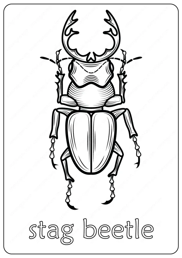 Animals Stag Beetle Coloring Pages Book 1 stag beetle coloring pages