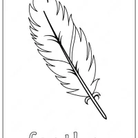 Free Printable Feather Outline Coloring Page 50 feather outline coloring page