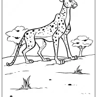 disney the lion king cheetah coloring pages