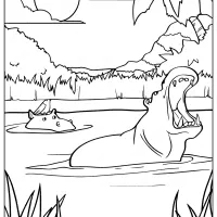 Printable Animals Swimming Hippo Coloring Pages 4 printable animals swimming hippo coloring pages