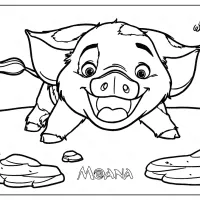 printable disney moana pua coloring pages