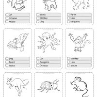Printable Animals Multiple Choice PDF Flashcards-01 35 animals flashcard 01