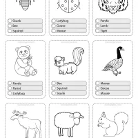 Printable Animals Multiple Choice PDF Flashcards-02 32 animals flashcard 02