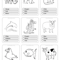 Printable Animals Multiple Choice PDF Flashcards-03 34 animals flashcard 03