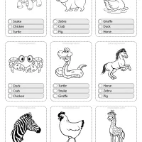 animals flashcard 04