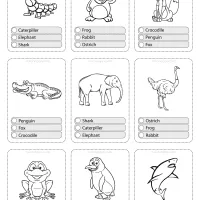 animals flashcard 05