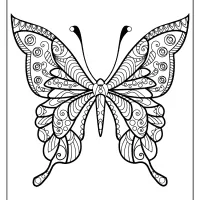 butterfly mandala coloring pages book 40