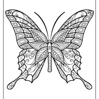 butterfly mandala coloring pages book 42