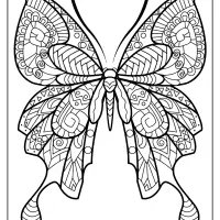 butterfly mandala coloring pages book 44
