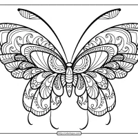 butterfly mandala coloring pages book 46