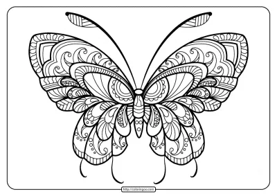 Printable Butterfly Mandala PDF Coloring Pages 46