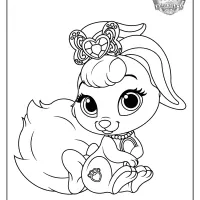 printable palace pets berry pdf coloring pages
