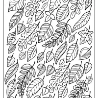 Free Printable Falling Leaves Coloring Page 33 Free Printable Falling Leaves Coloring Page