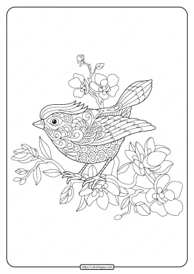Bird On Flowering Tree Branch Coloring Page