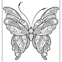 butterfly mandala coloring pages book 51