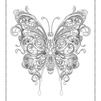 free printable butterfly adult coloring pages