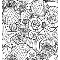 free printable seashells pdf coloring page