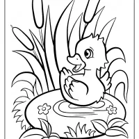 printable baby duckling pdf coloring page