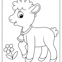 Printable Baby Lamb Pdf Coloring Page 39 printable baby lamb pdf coloring page