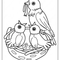 printable birds in the nest pdf coloring page