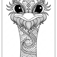Free Printable Ostrich Mandala Pdf Coloring Page