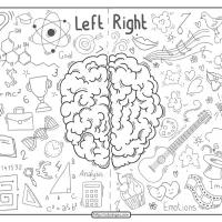 Free Printable Brain Lobes Pdf Coloring Pages 34 free printable brain lobes pdf coloring pages