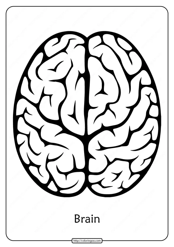 Free Printable Brain Outline Pdf Coloring Pages 1 free printable brain outline pdf coloring pages
