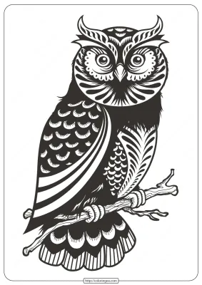 Free Printable Owl Animal Coloring Page 008