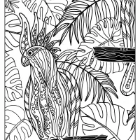 Free Printable Cockatoo Bird Pdf Coloring Page 20 Free Printable Cockatoo Bird Pdf Coloring Page